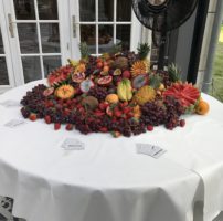 IMG_0802